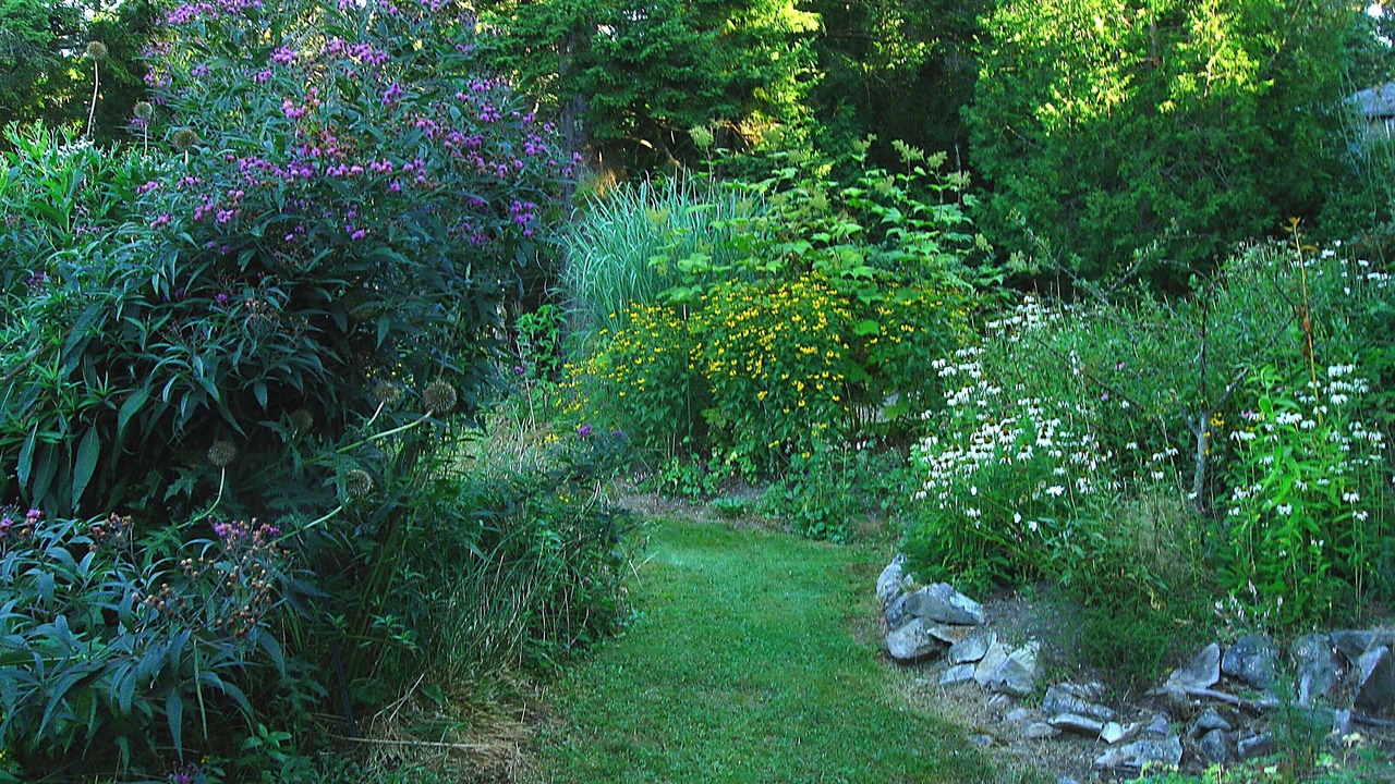Photo of Outdoor in Bernard