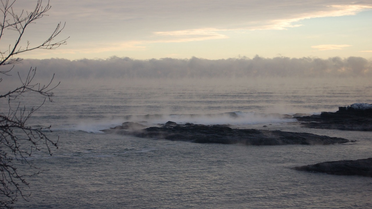Photo of Others in Pond Cove