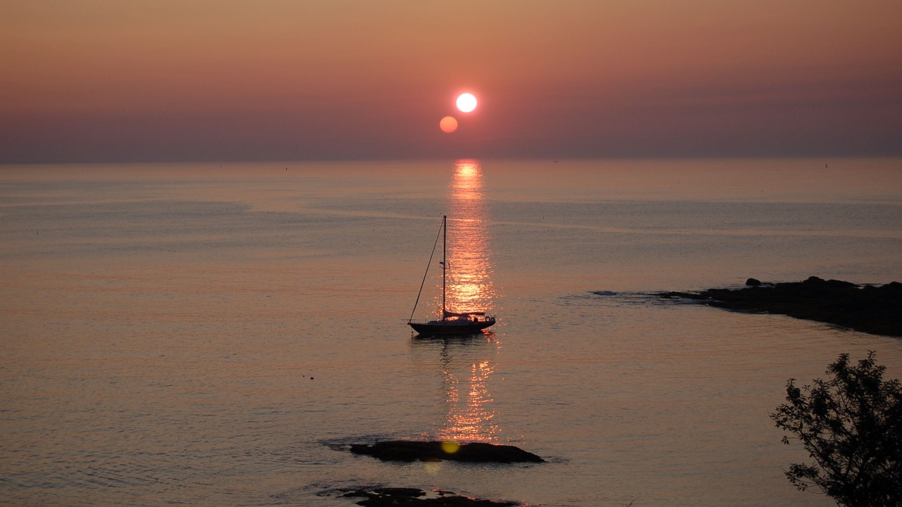 Photo of Others in Pond Cove