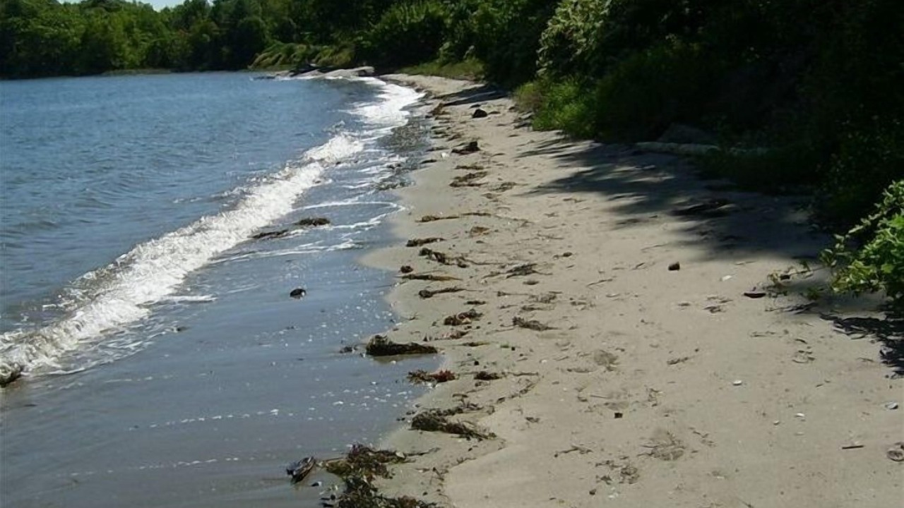 Photo of Others in Glen Cove