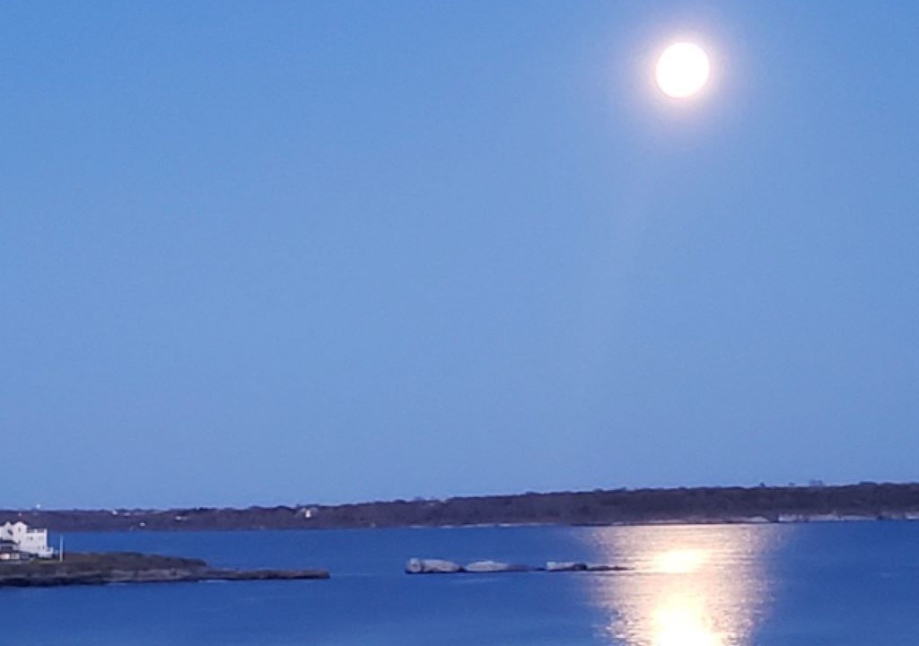 Photo of Others in Bonnet Shores