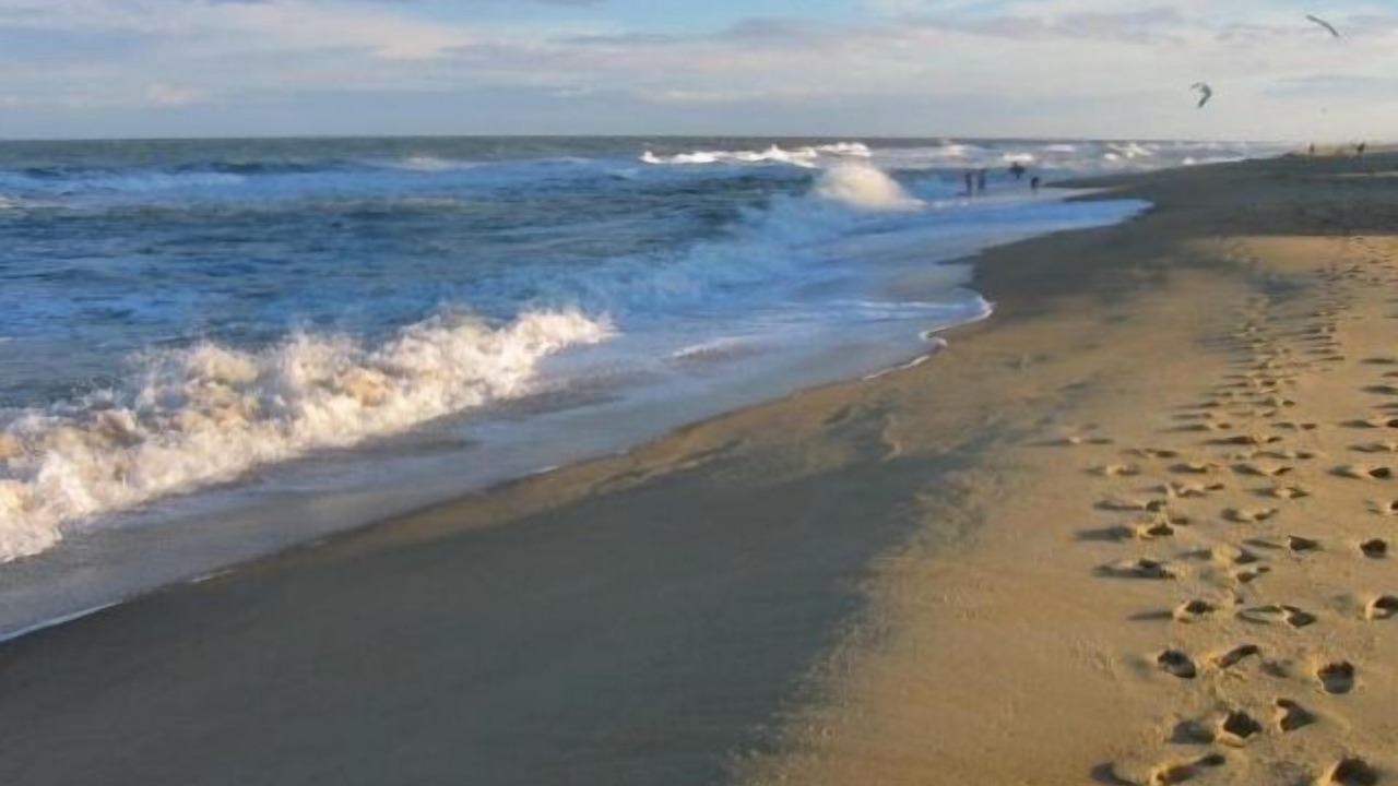 Photo of Others in Ocean Pines