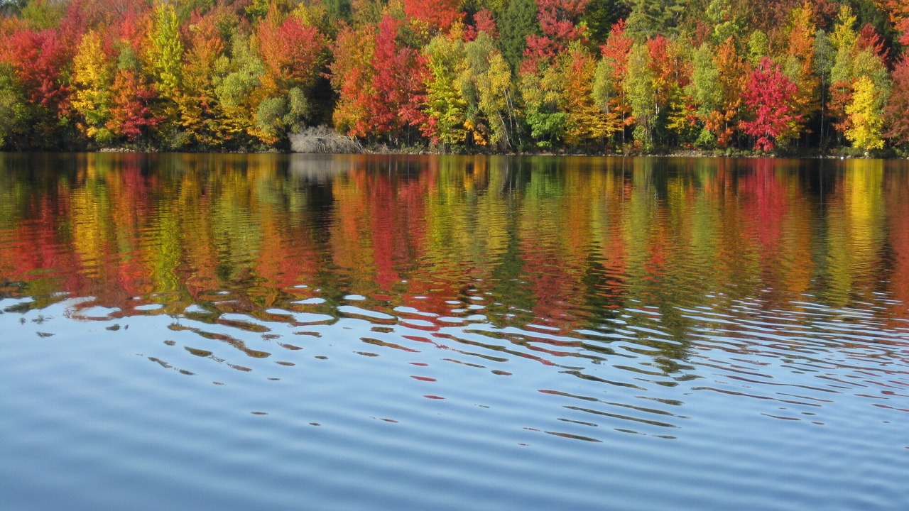 Photo of Outdoor in Bridgton