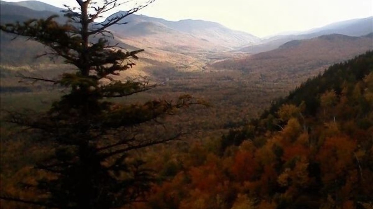 Photo of Others in Gorham