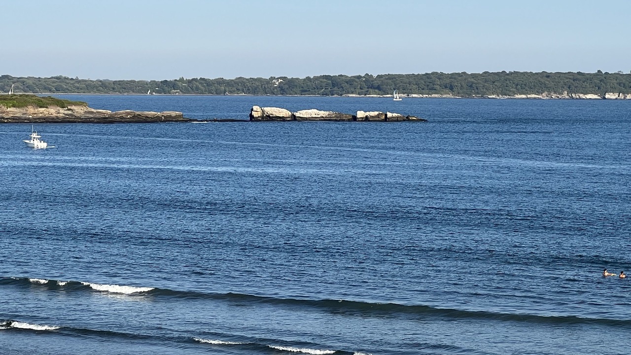 Photo of Others in Bonnet Shores
