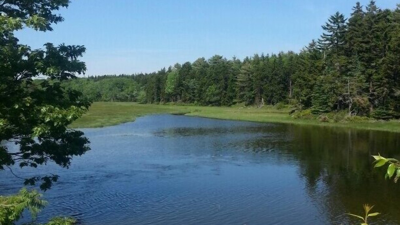 Photo of Others in Phippsburg