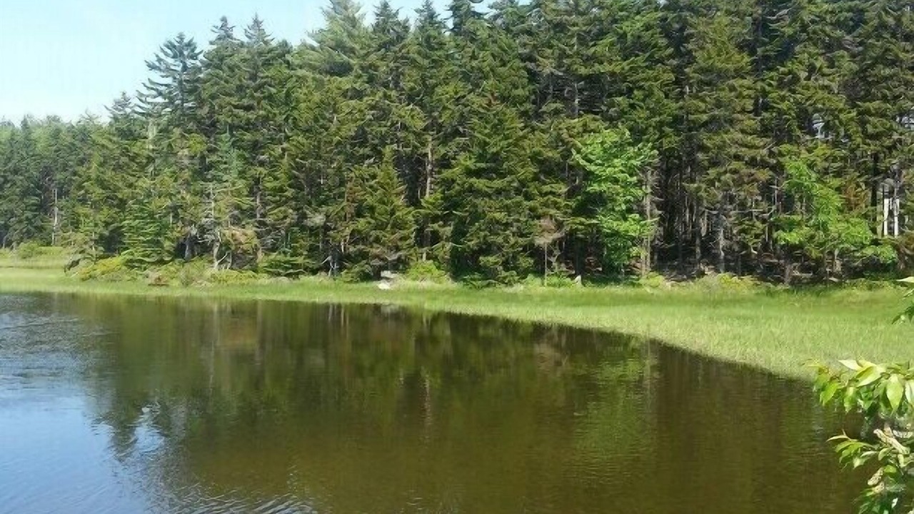 Photo of Others in Phippsburg