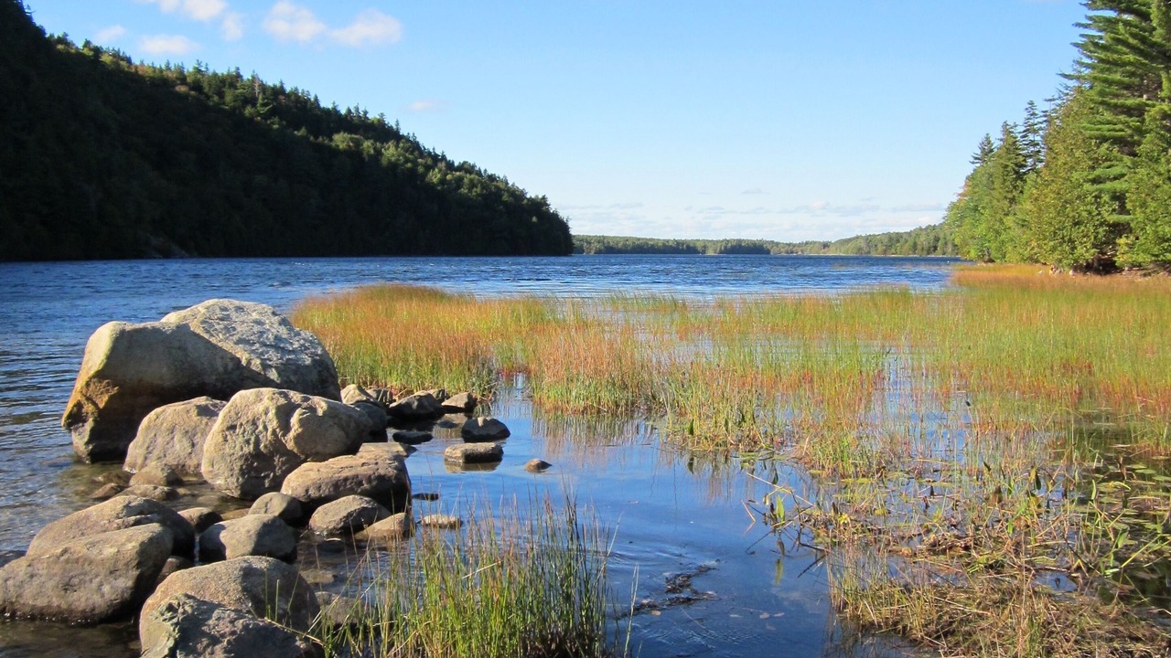 Photo of Outdoor in Southwest Harbor
