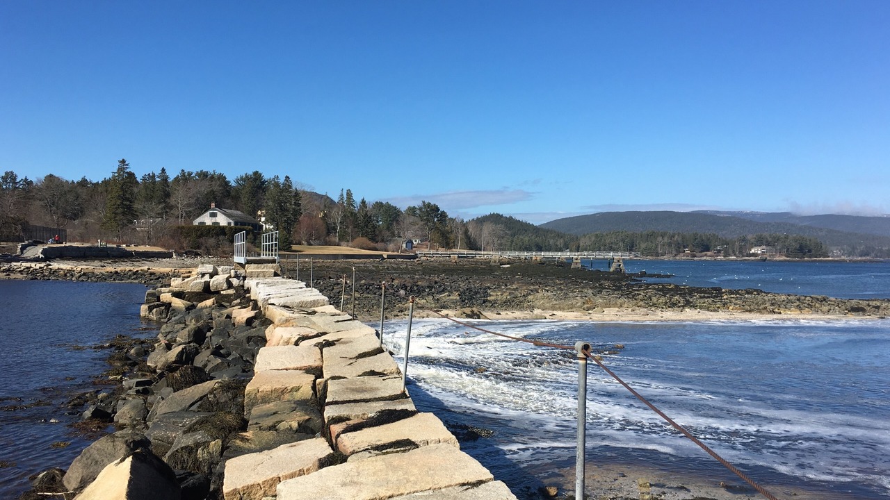 Photo of Others in Southwest Harbor
