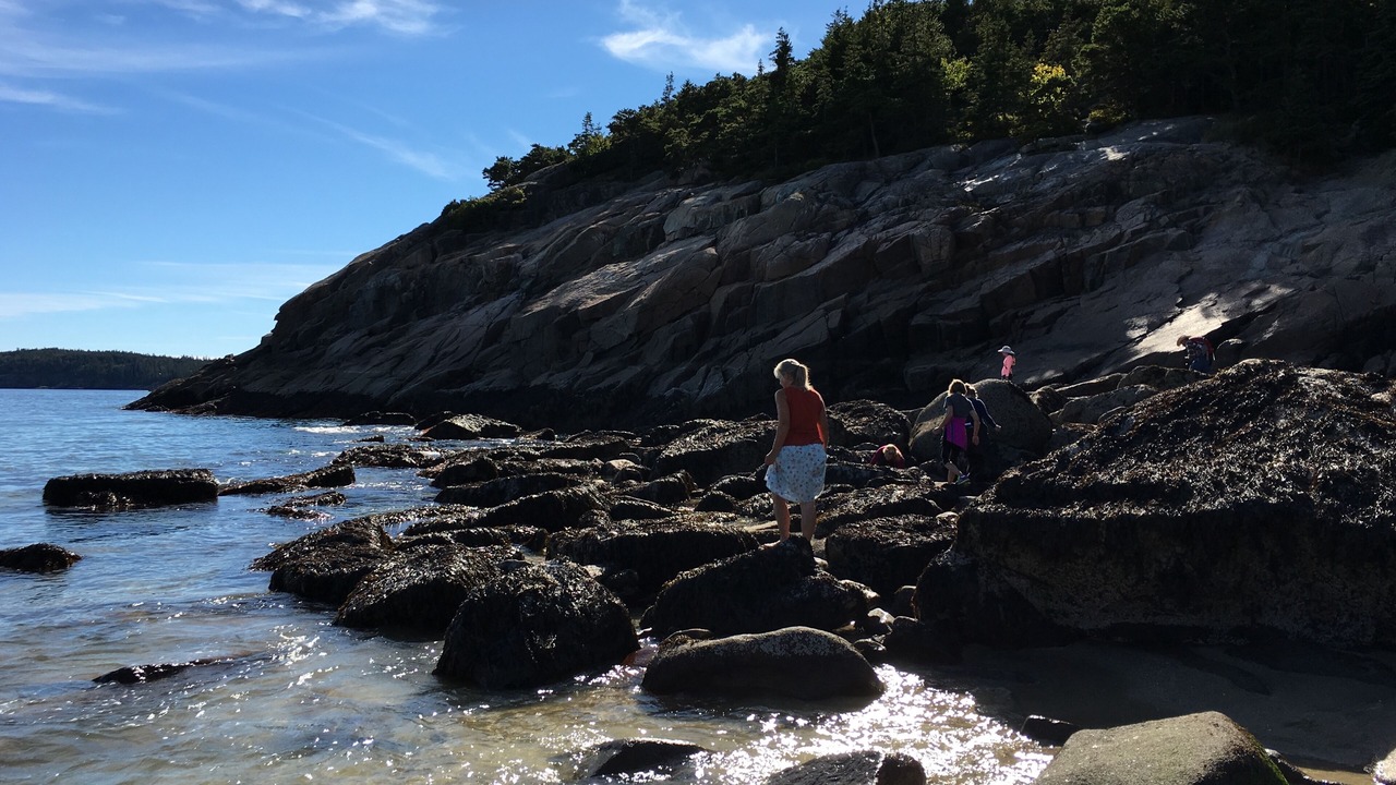 Photo of Others in Southwest Harbor