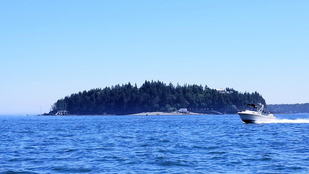 Photo of Others in Seal Harbor