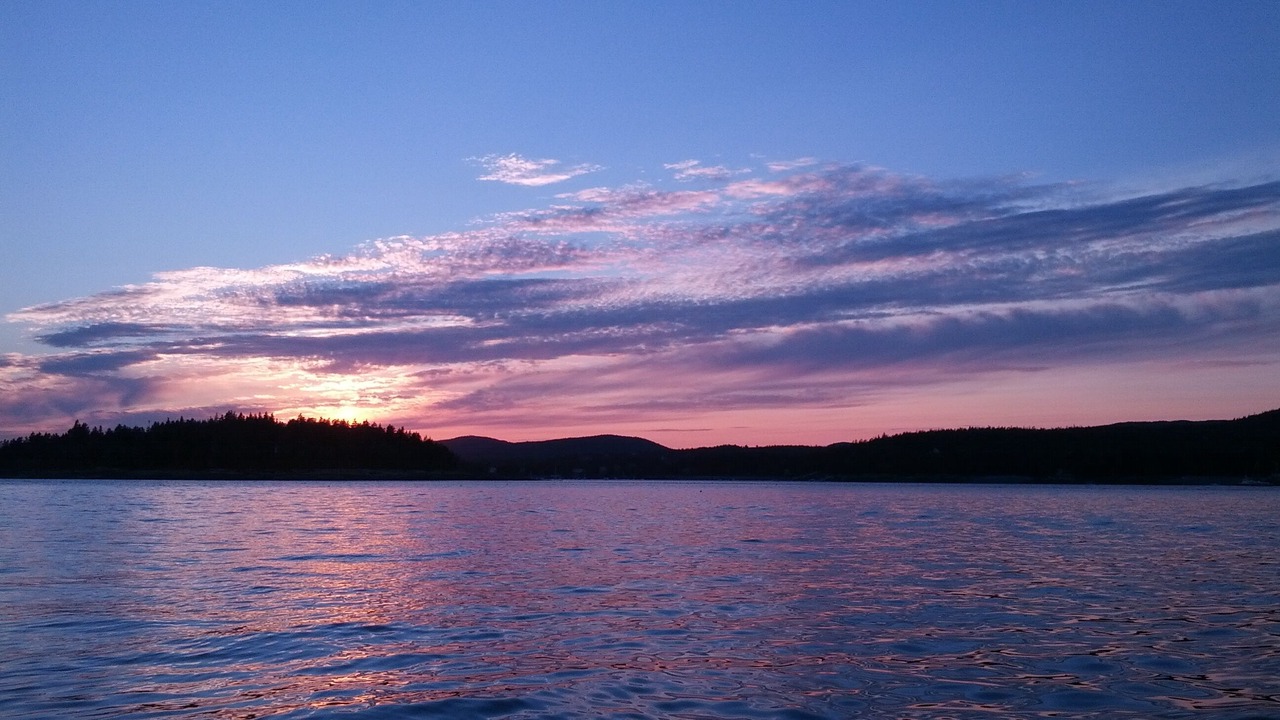 Photo of Others in Seal Harbor