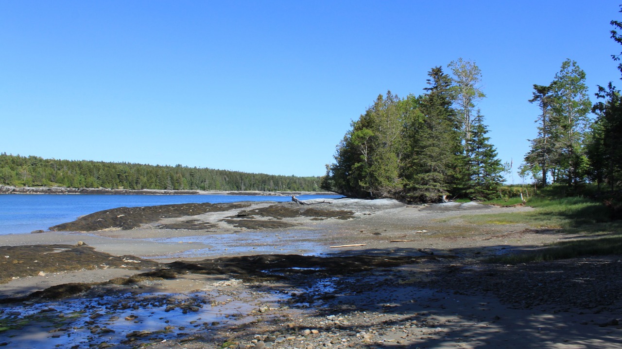 Photo of Others in Lamoine