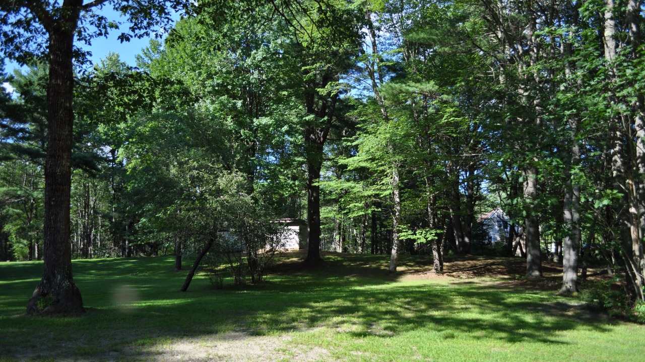 Photo of Outdoor in Brunswick