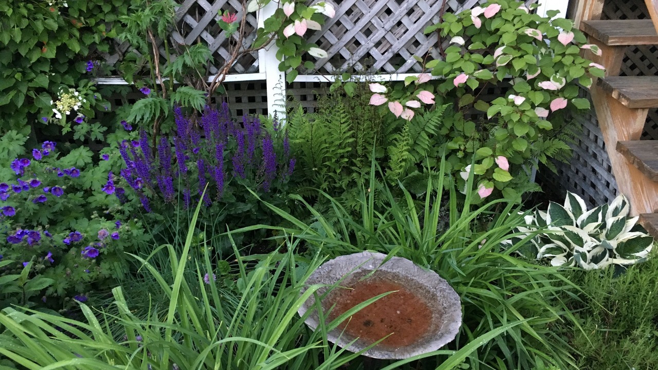 Photo of Outdoor in Bass Harbor
