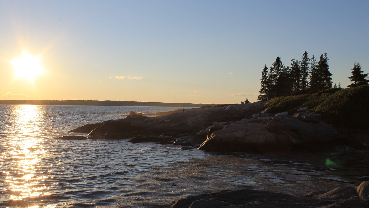 Photo of Others in New Harbor