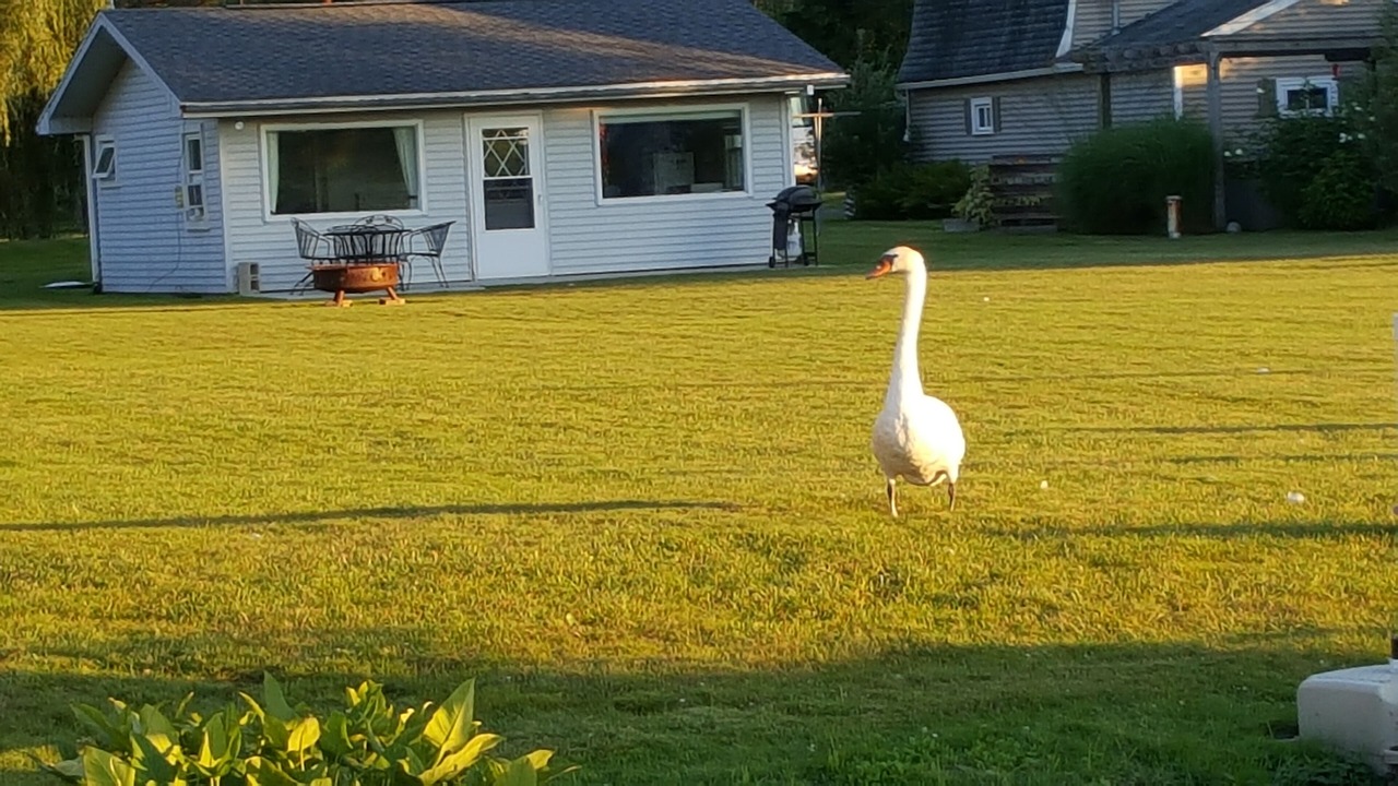Photo of Outdoor in Horton
