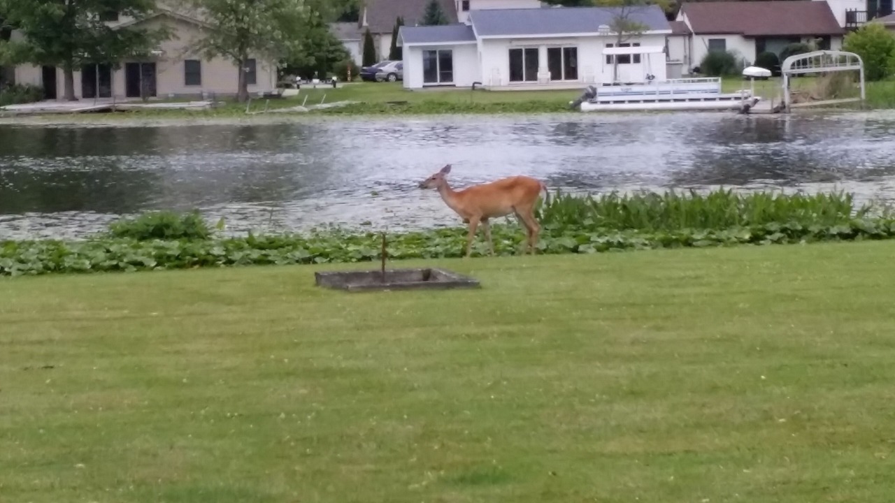 Photo of Outdoor in Horton