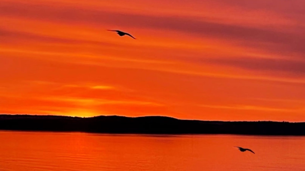 Photo of Others in Bar Harbor