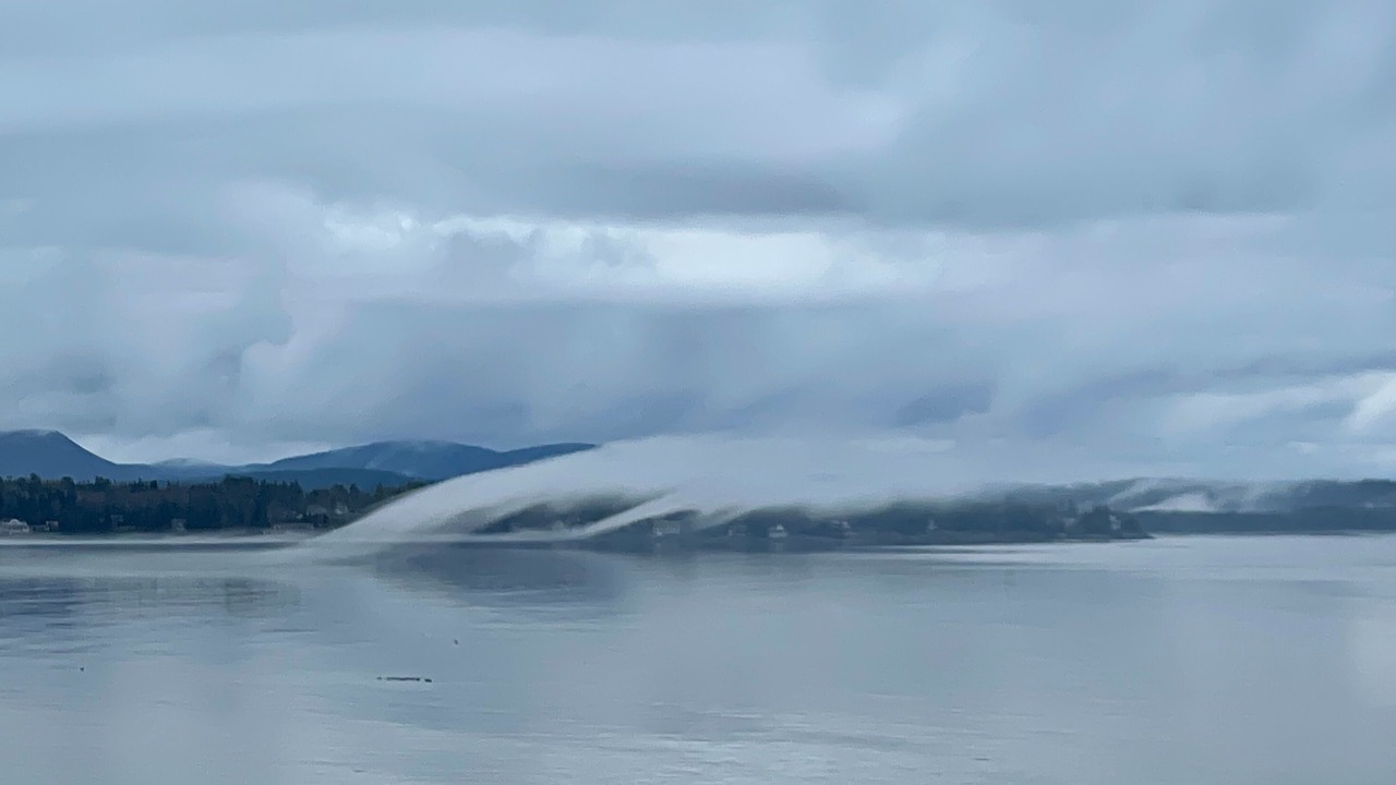 Photo of Others in Bar Harbor