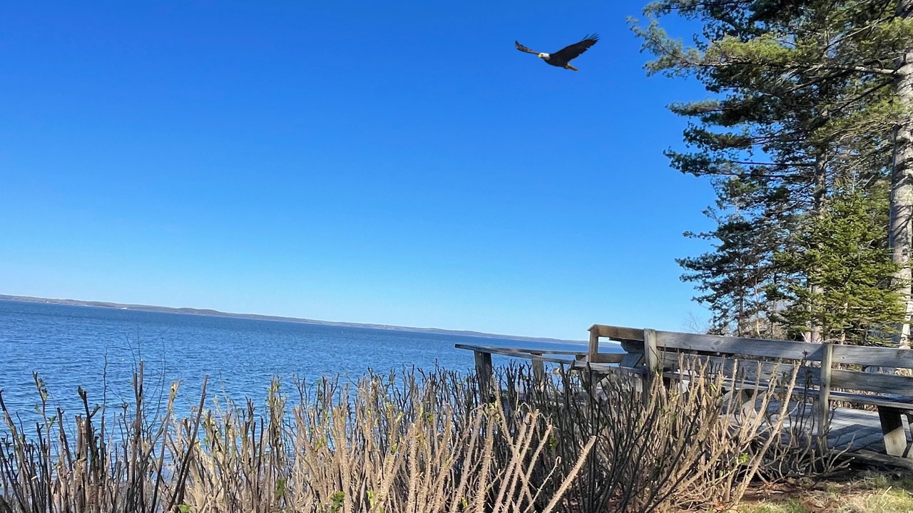 Photo of Others in Bar Harbor