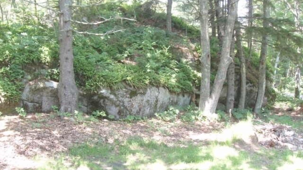 Photo of Others in Phippsburg