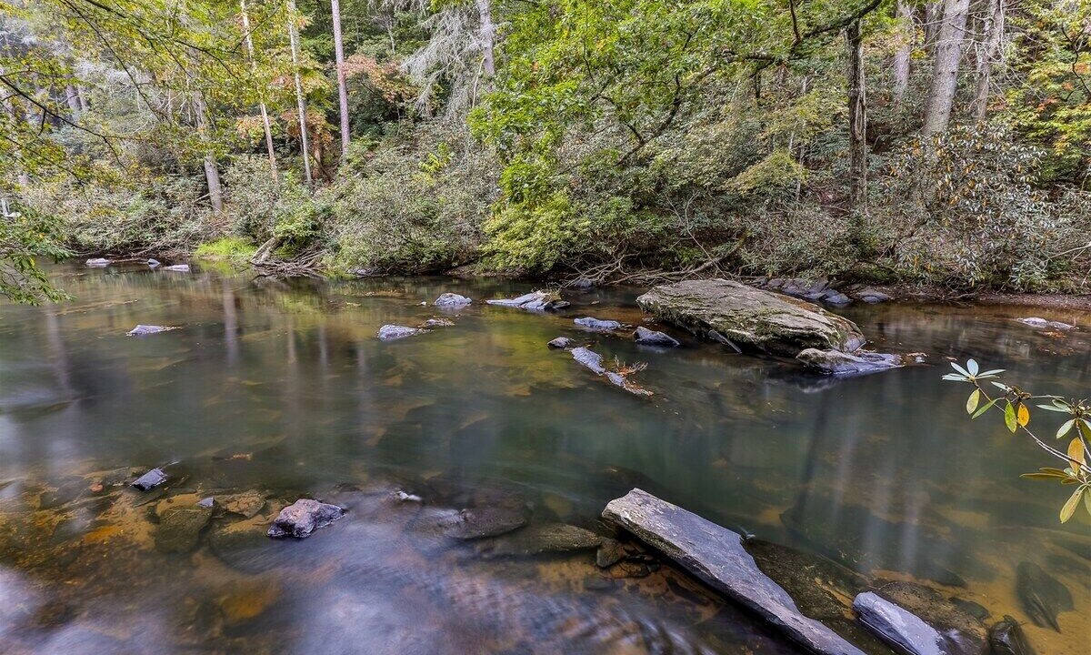 Photo of Others in Ellijay