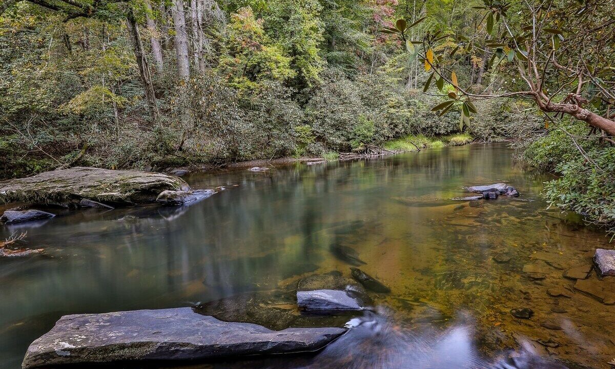 Photo of Others in Ellijay