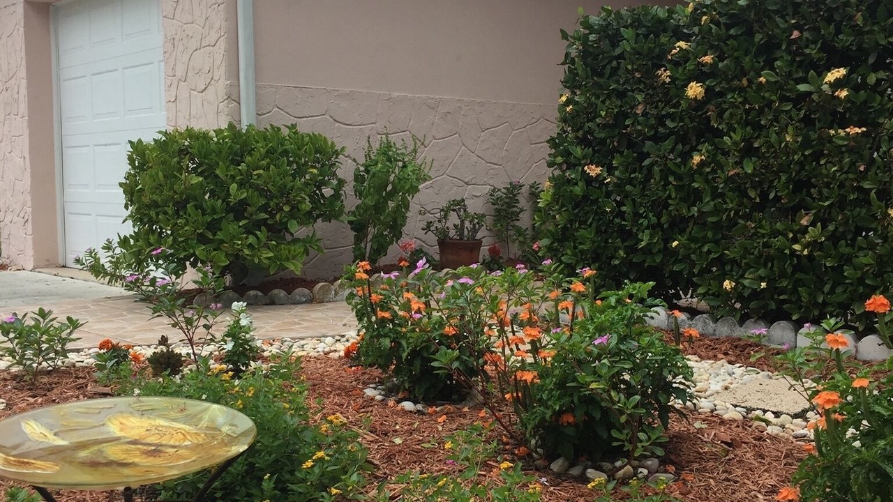 Photo of Outdoor in Naples Park