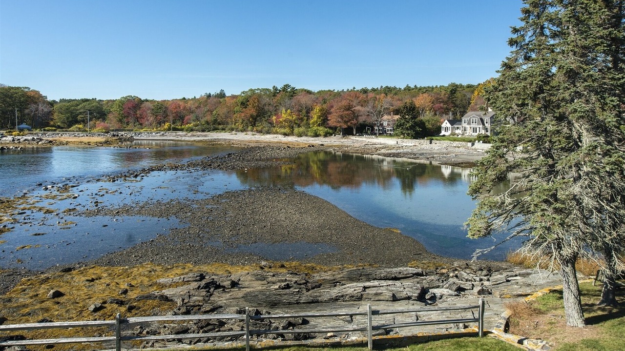 Photo of Others in Pond Cove