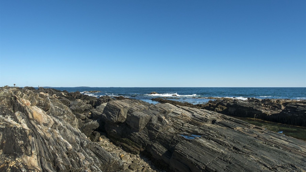 Photo of Others in Pond Cove