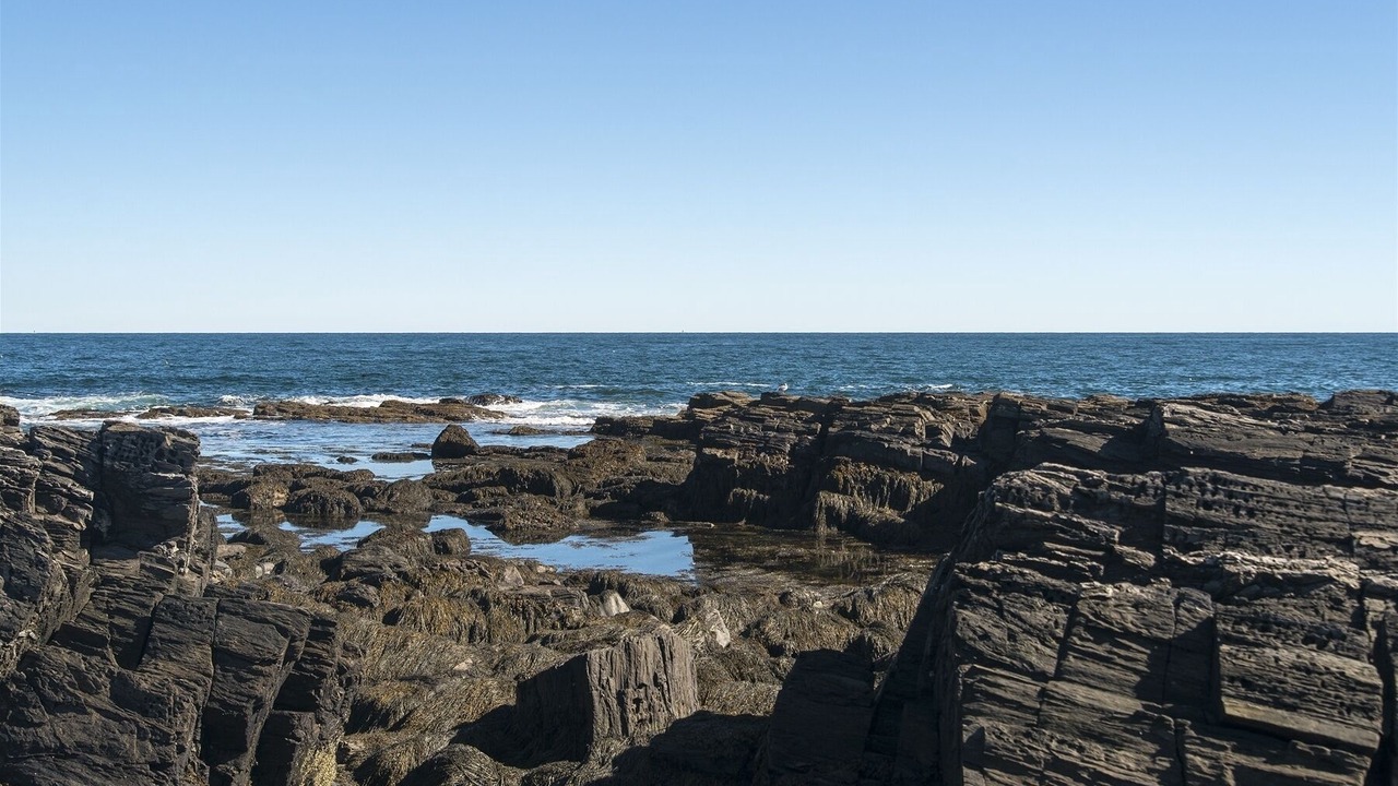 Photo of Others in Pond Cove