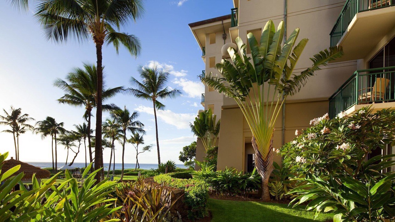 Photo of Outdoor in Kaanapali