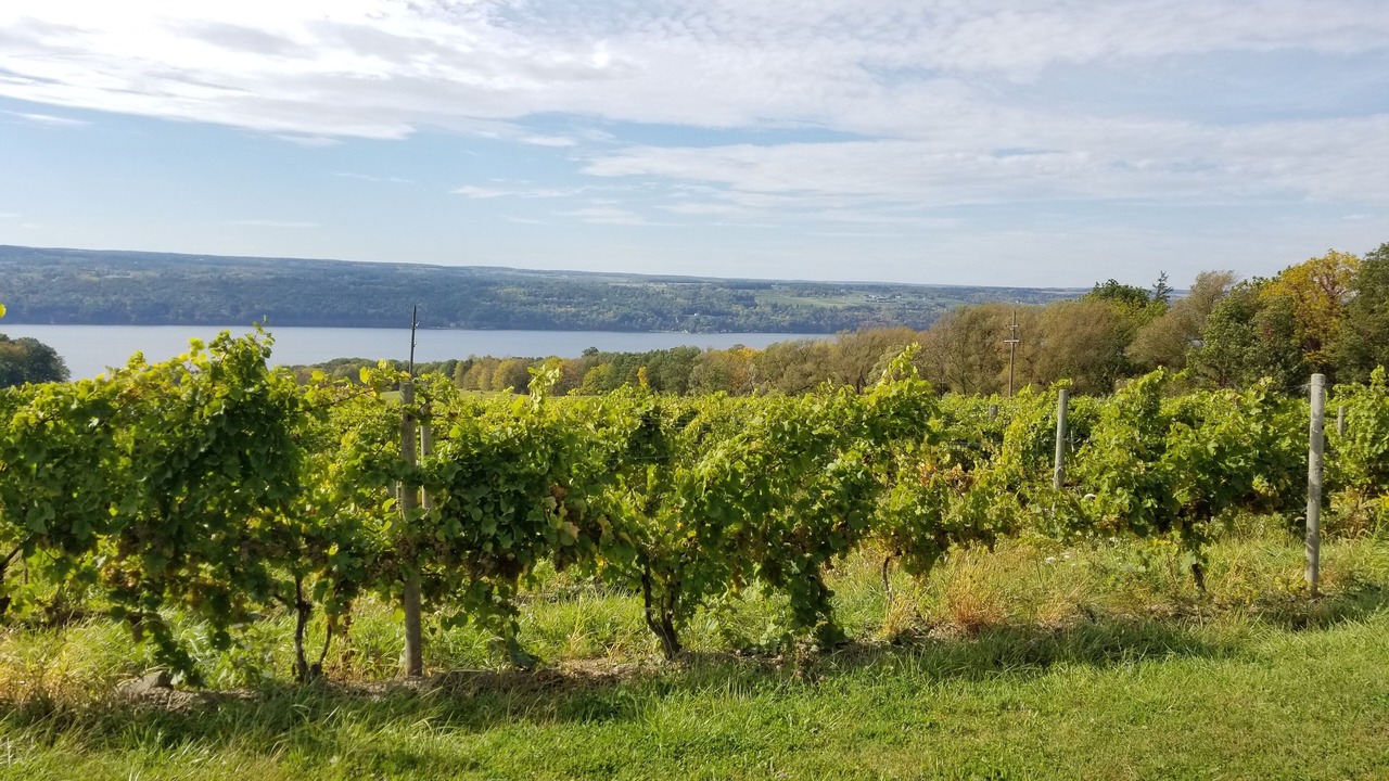 Photo of Others in Watkins Glen