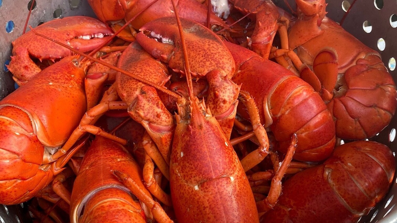 Photo of Others in Franklin