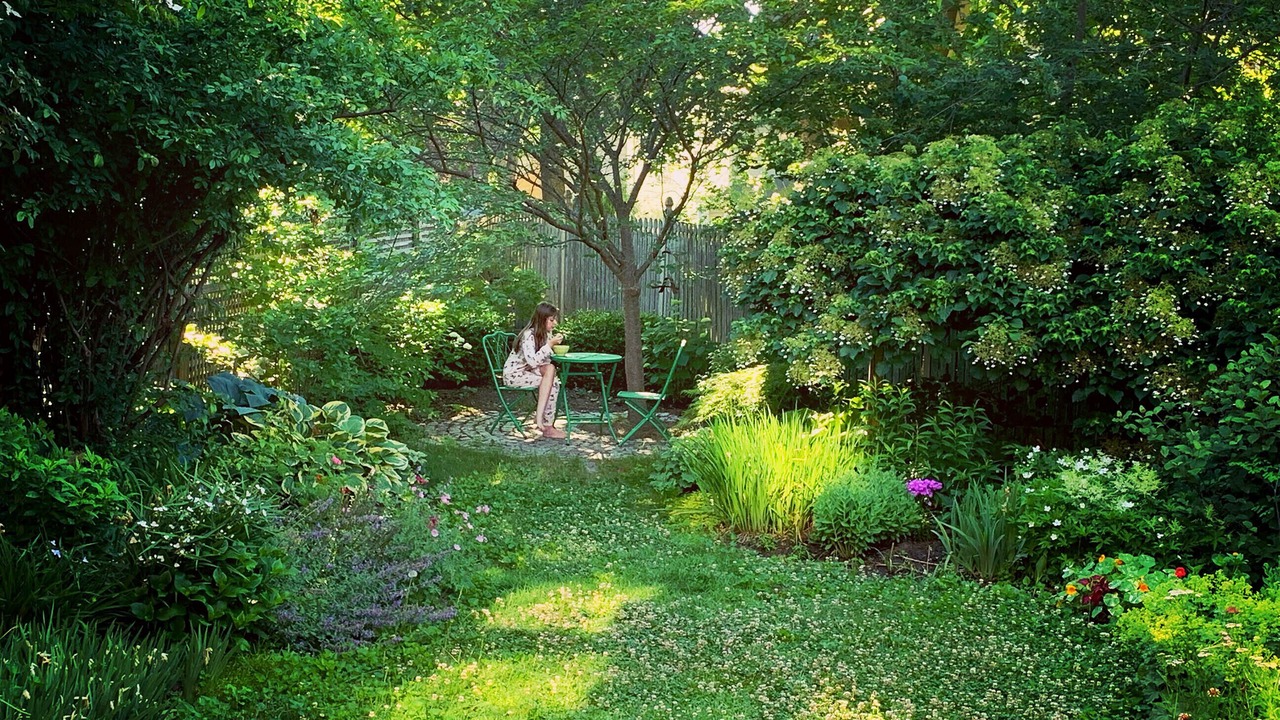 Photo of Outdoor in West End