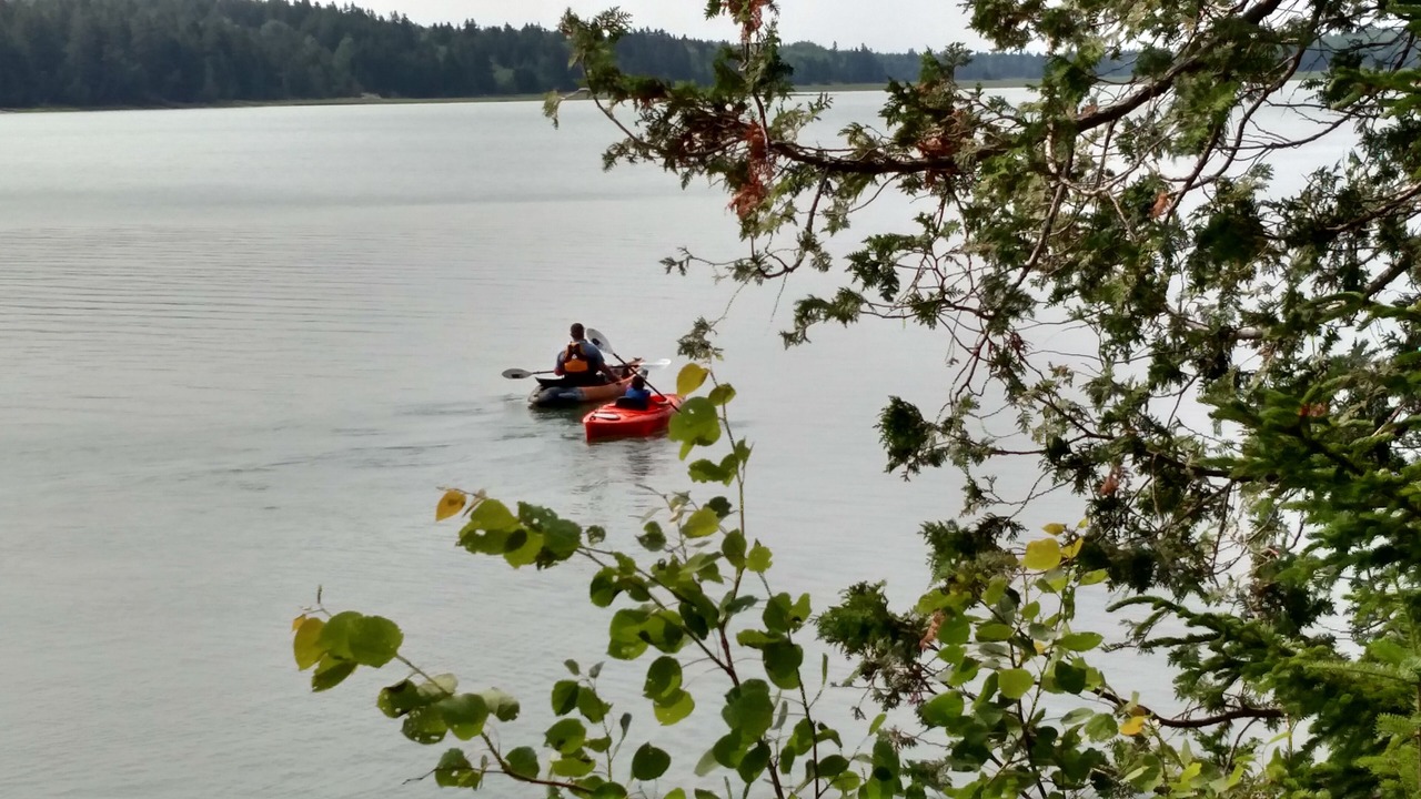 Photo of Others in Prospect Harbor