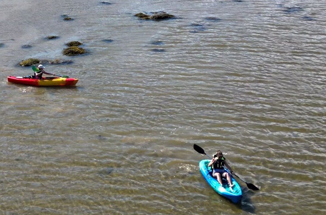 Photo of Others in Prospect Harbor
