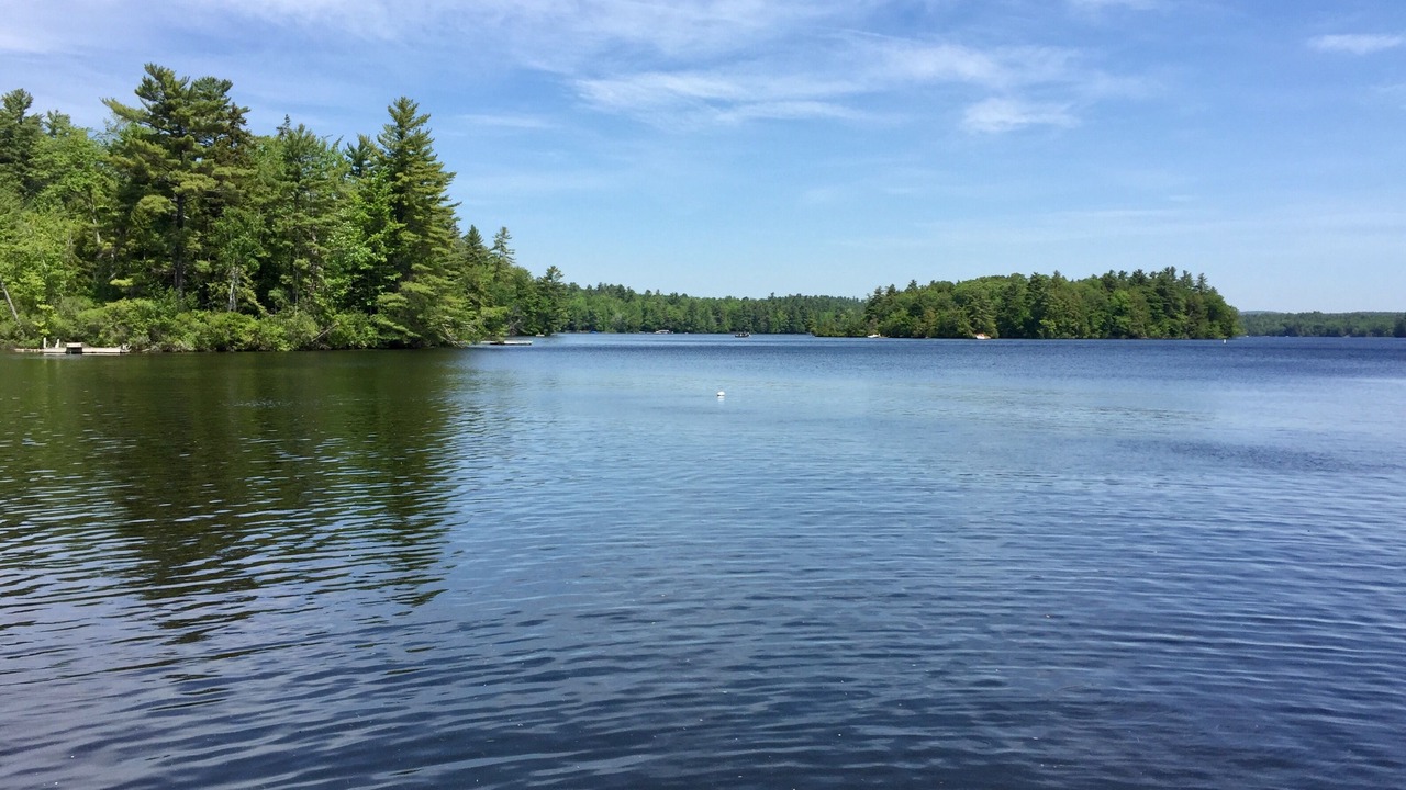 Photo of Outdoor in Readfield