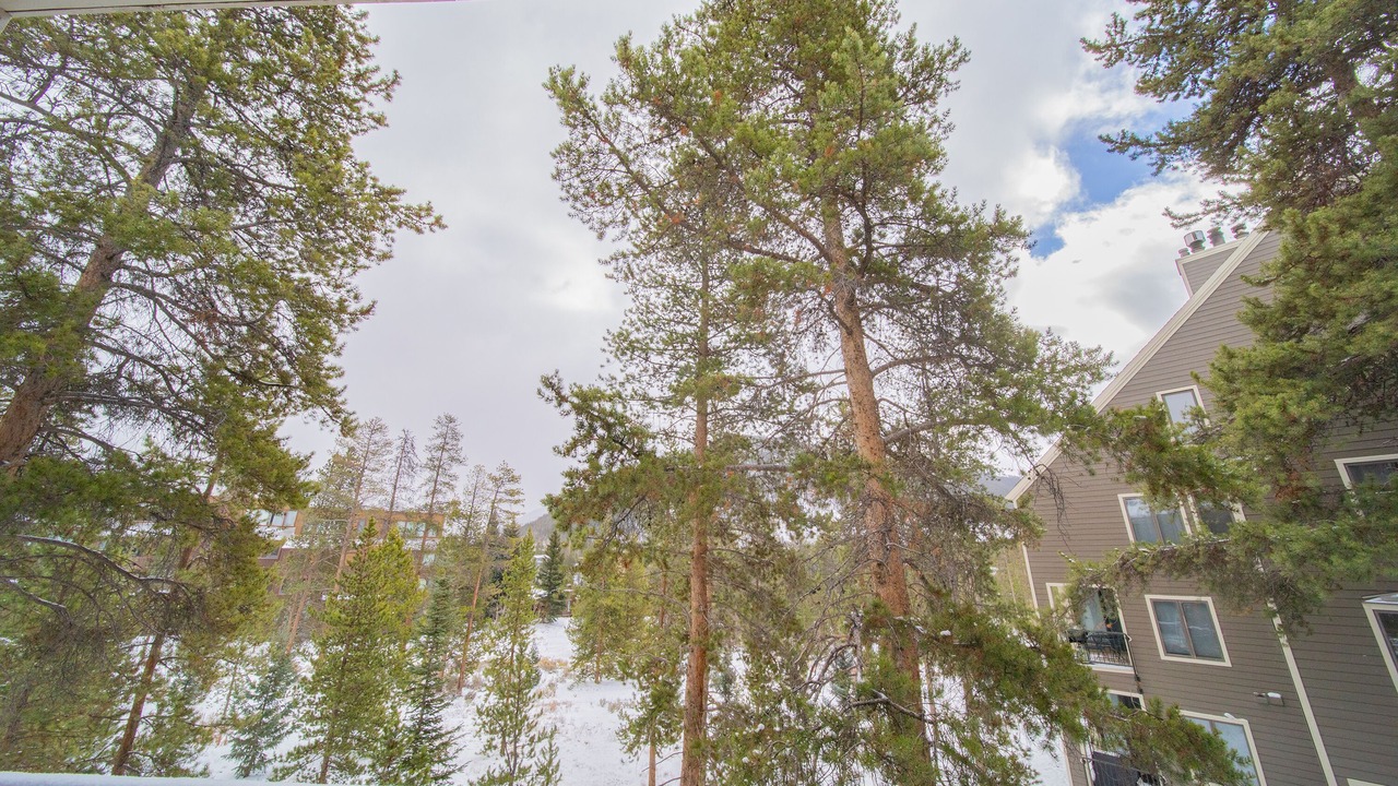 Photo of Others in Keystone