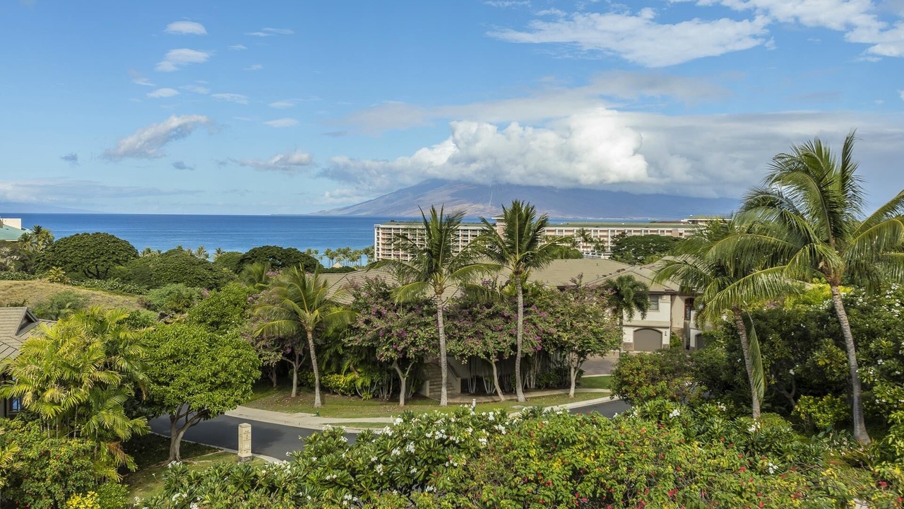 Photo of Others in Wailea