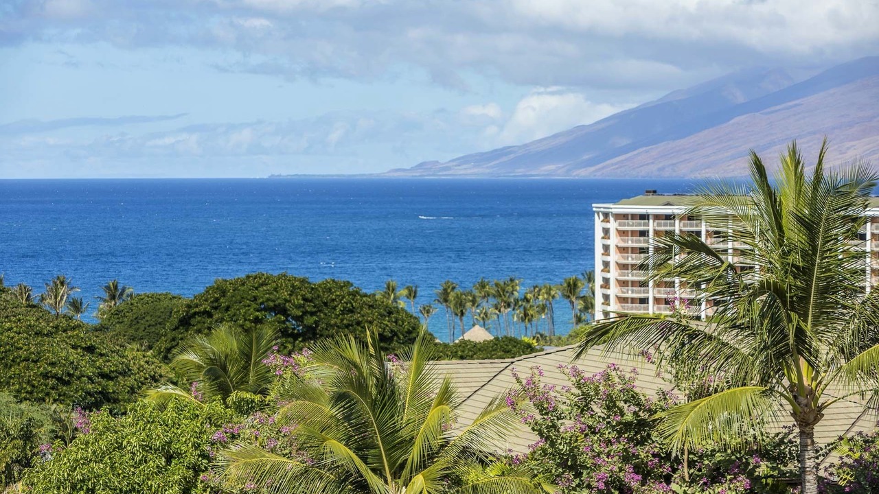 Photo of Others in Wailea