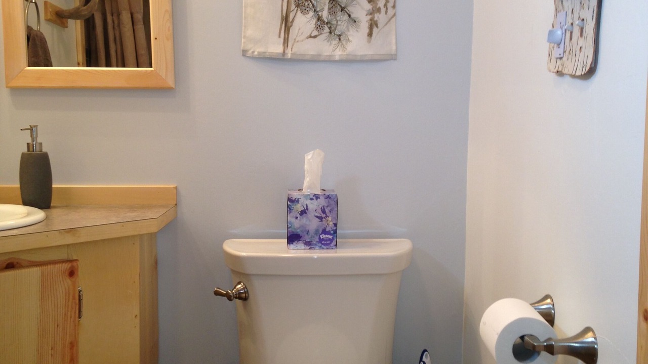 Photo of Bathroom in Diamond Ridge