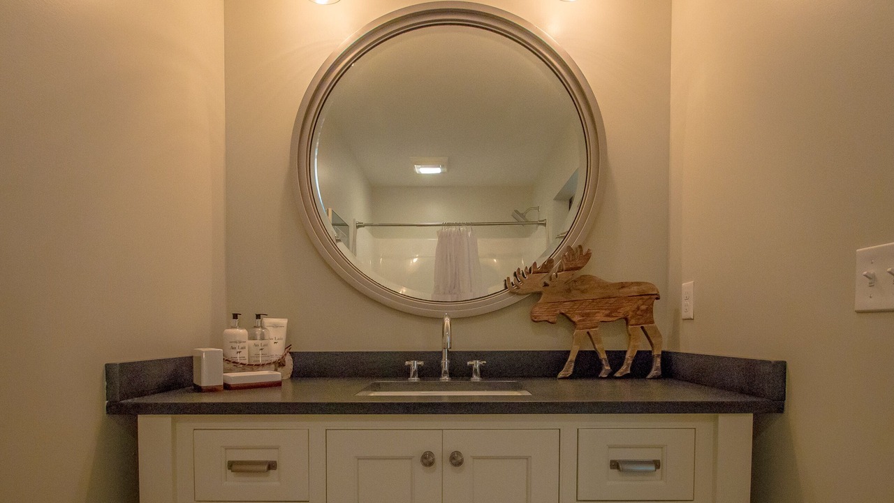 Photo of Bathroom in Bartlett