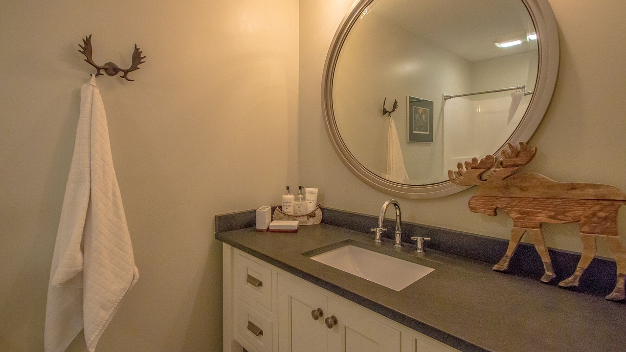 Photo of Bathroom in Bartlett