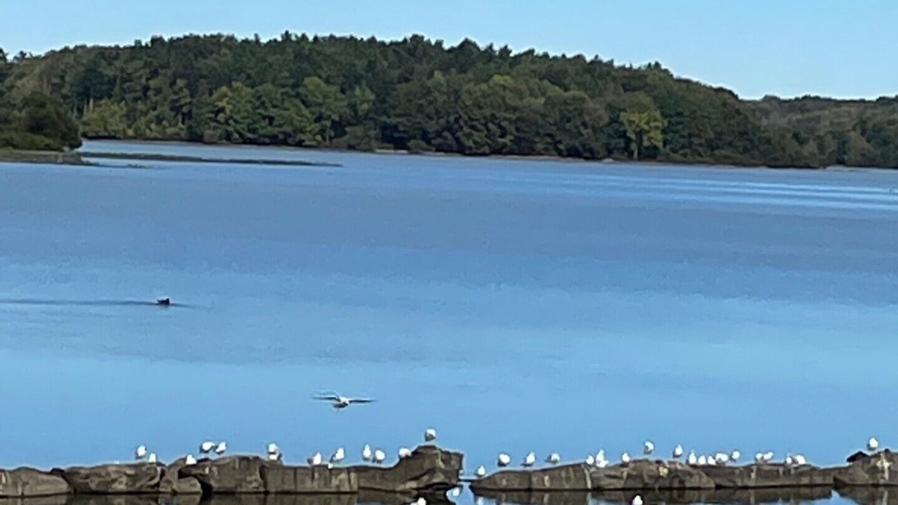 Photo of Others in Pymatuning Central