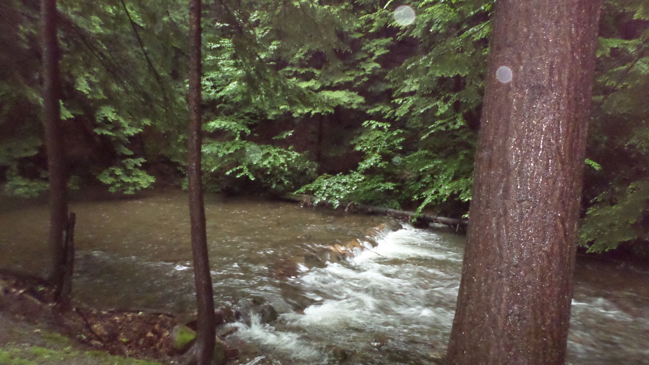 Photo of Outdoor in Clearfield