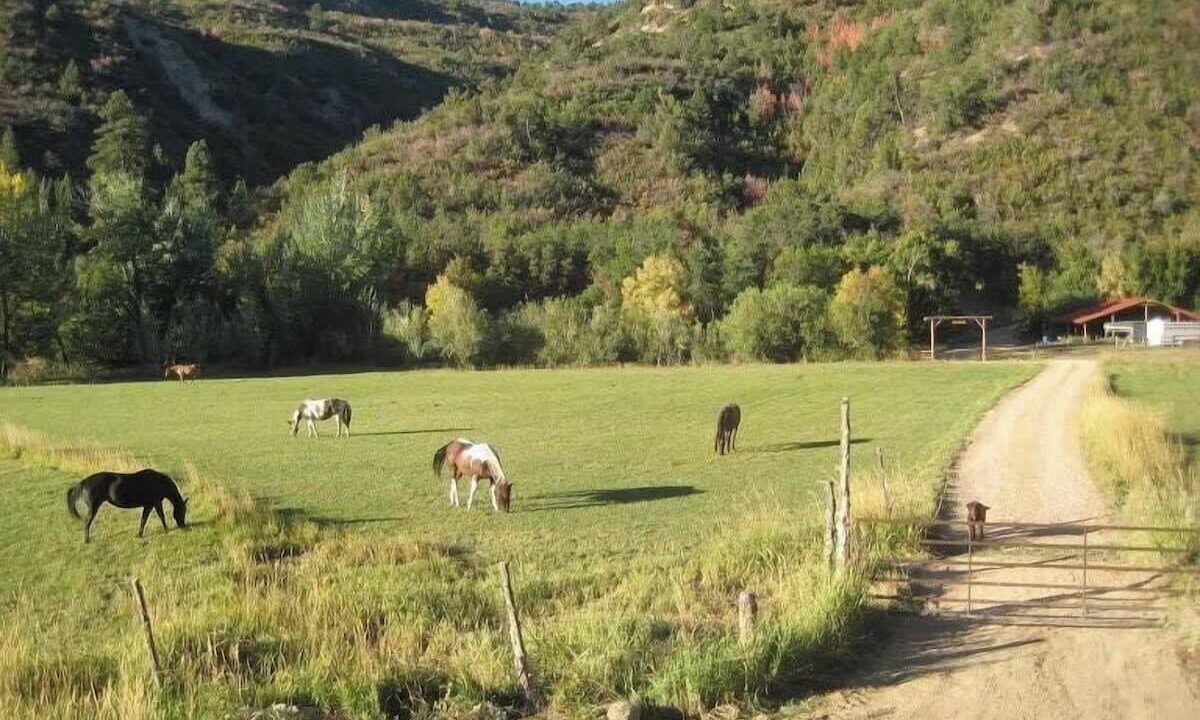 Photo of Others in Glendale
