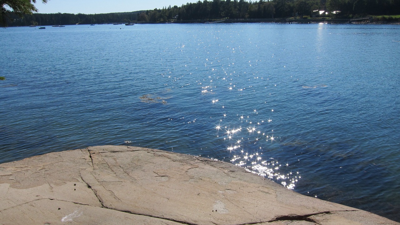 Photo of Others in Southwest Harbor