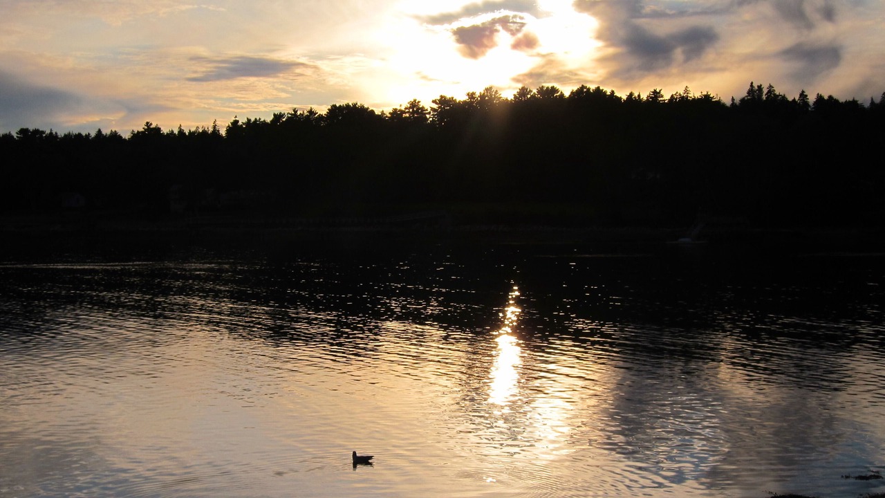 Photo of Others in Southwest Harbor